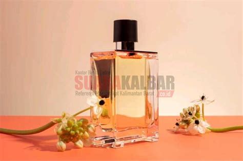 rekomendasi parfum untuk wanita.